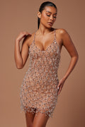 Embellished Mini Dress - Clear/Silver